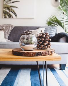 a living room with a couch, coffee table and pine cones