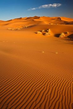 the desert is very large and empty with no people on it, but there are many sand dunes