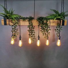 several light bulbs hanging from a wooden beam with plants growing out of them