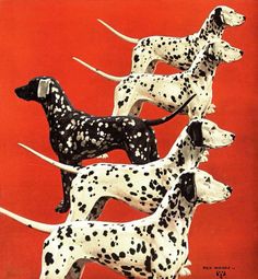 four dalmatian dogs standing side by side in front of a red background with black spots