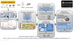 an image of a diagram that shows the different types of medical devices and their functions