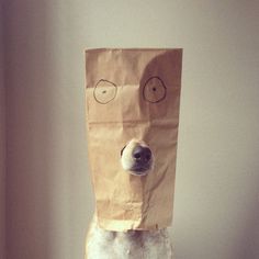 a dog with a paper bag on its head that has an image of a dog's face drawn on it