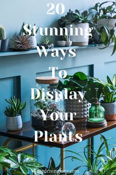 some plants and potted plants on a shelf with the words 20 stunning ways to display your plants