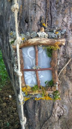 an old window in the bark of a tree is decorated with moss and twigs for decoration