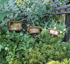 there are three signs hanging on the fence in the bushes and plants that have been planted