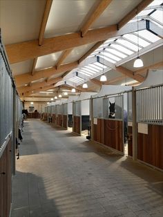 an empty horse barn with stalls and lights