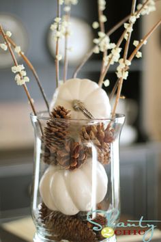 a glass vase filled with white pumpkins and pine cones