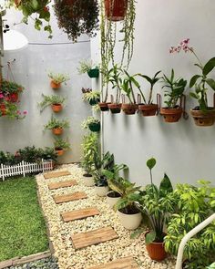 an outdoor garden with lots of potted plants on the wall and stepping stones in the ground