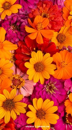 many different colored flowers are arranged together