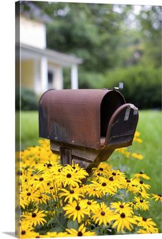 a mailbox sitting in the middle of some yellow flowers