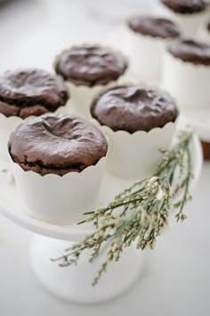 chocolate cupcakes on a white cake plate with rosemary sprig in the foreground