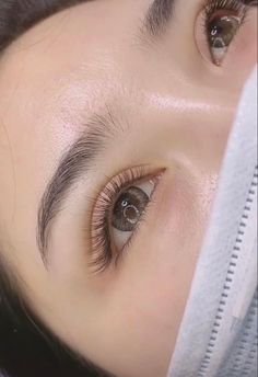 Korean Style Eyelash Extensions, Lash Extentions Asian Eyes, Eyelash Extensions Asian Eyes, Eyelash Extensions Asian, Asian Eyelash Extensions, Single Eyelash Extensions, Single Lash Extensions, Eyelash Extensions Natural, Natural Lash Extensions