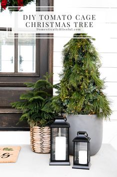 two christmas trees sitting next to each other in front of a door