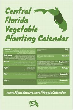 a green and white poster with the words central florida vegetable planting calendar