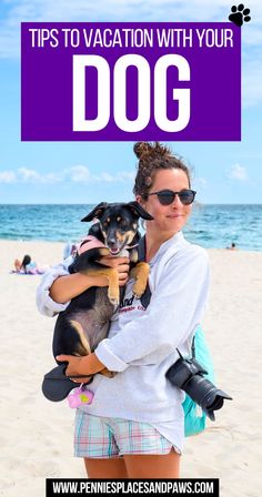 Tips to Vacation With Your Dog Dog Friendly Vacation, Dog Travel, Pack Your Bags, Canine Companions, Summer Heat, Summer Travel, Dog Friendly, Plan A, Vacation Spots