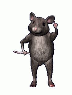 Rat Funny, Funny Rats, Rat Man, Weird Gif, Dancing Gif, Pinterest Memes, Samoa, Really Funny Pictures