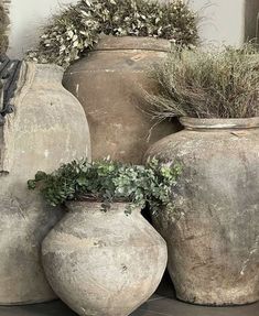 three large vases with plants growing out of them