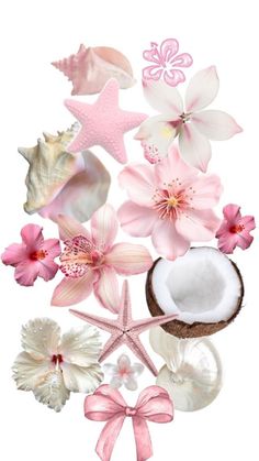 a bunch of flowers and shells on a white background