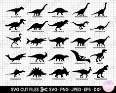 the silhouettes of different types of dinosaurs are shown in this file, and it is also