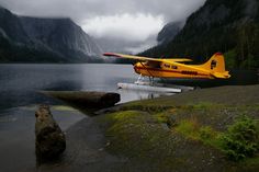 a small yellow plane sitting on top of a body of water next to a forest