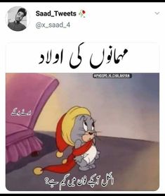 an arabic text reads sadi tweets, and the image shows a cartoon cat with