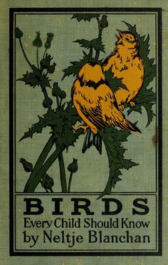 an old book with yellow birds on it