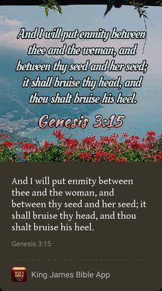 a bible verse with flowers and the words, jesus's 3 11 - 15