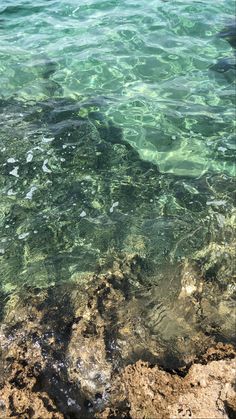 the water is crystal clear and blue