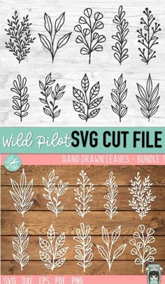 the wild pett svg cut files are available for purchase