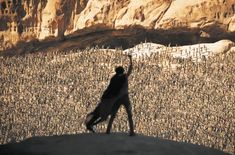 a black dog standing on top of a hill next to a cliff side covered in snow