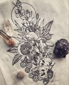 an ink drawing of mushrooms and flowers on paper next to some rocks, crystals and other items