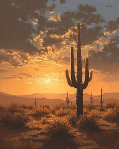 a painting of a cactus in the desert at sunset