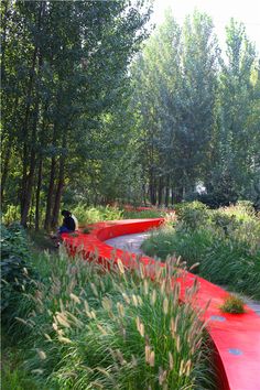 a person sitting on a bench in the middle of a park with tall grass and trees