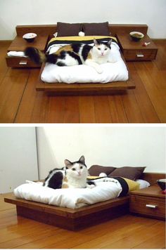 two pictures of a cat laying on top of a bed in the middle of a room