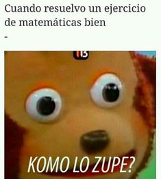 the face of a stuffed animal with large eyes and an expression that reads, cuandoo tres una teoria de miracuous y se confirmma? komo lo zupe?