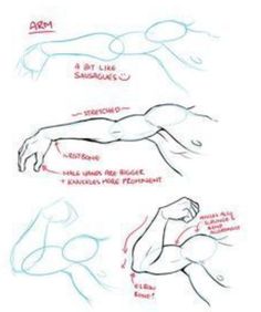 how to draw the human body in 3 easy steps drawing lessons, drawing tips, drawing sketches, art drawings, drawing techniques, anatomy drawing reference poses, arm muscles, person, hand reference, figure, arms and leg