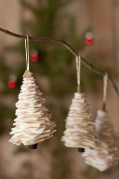 three white ornaments hanging from a tree branch