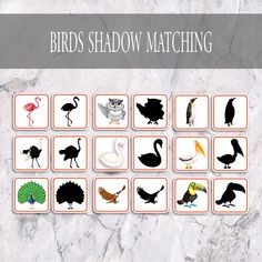 the birds shadow matching game is displayed on a marble surface with an orange border around it