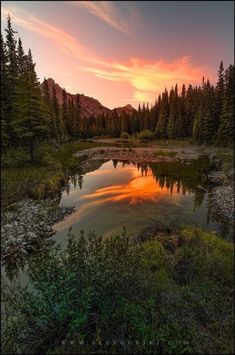 the sun is setting over a small lake surrounded by trees and bushes, with mountains in the background