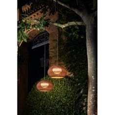 two lights hanging from the side of a tree