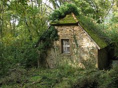 an old stone building with moss growing on it's roof in the middle of a forest