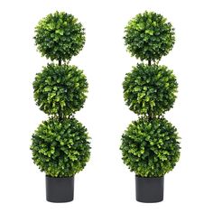 two tall potted plants are shown in the shape of three ball shaped topiary trees