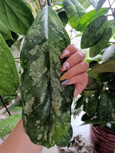 a woman's hand holding a green leaf with yellow and white designs on it