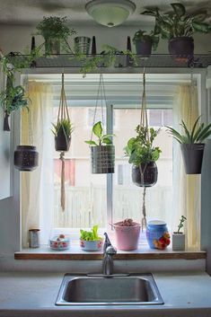 several potted plants are hanging on the window sill in front of a kitchen sink