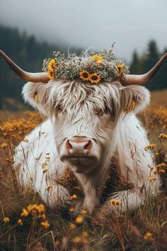 a cow with flowers in it's hair laying on the ground