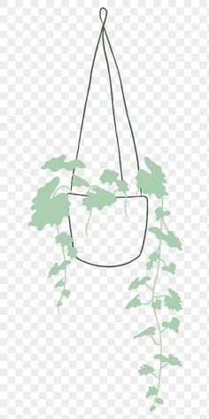 a hanging planter with green leaves on the side, transparent background png clipart