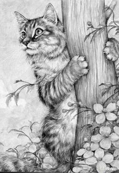 a pencil drawing of a cat climbing on a tree trunk with berries around it and looking up at the sky