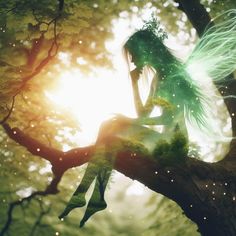 a fairy sitting on top of a tree branch in the sun with her hands behind her head