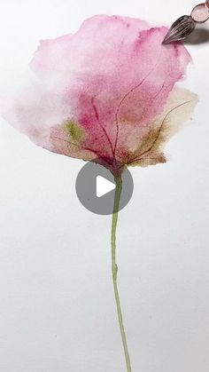 a pink flower is being drawn with watercolors