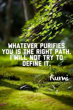 a quote that says whatever purifies you is the right path i will not try to